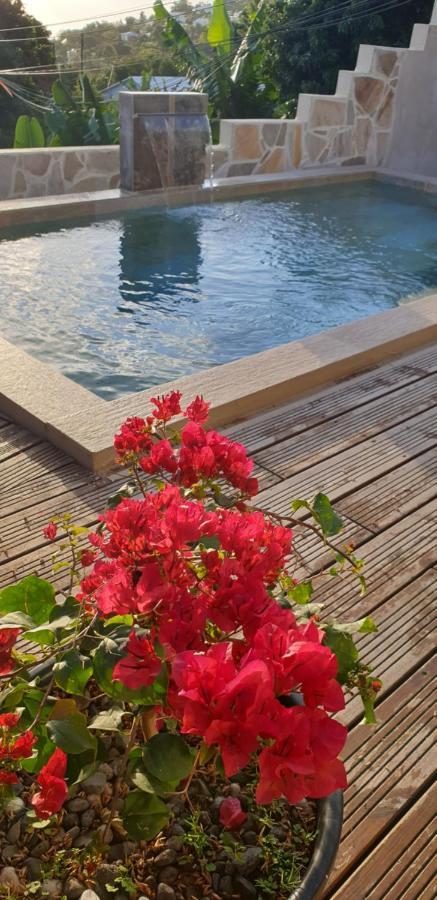 Casa Vue Mer - Piscine Privee - Destination St-Leu 생뢰 외부 사진